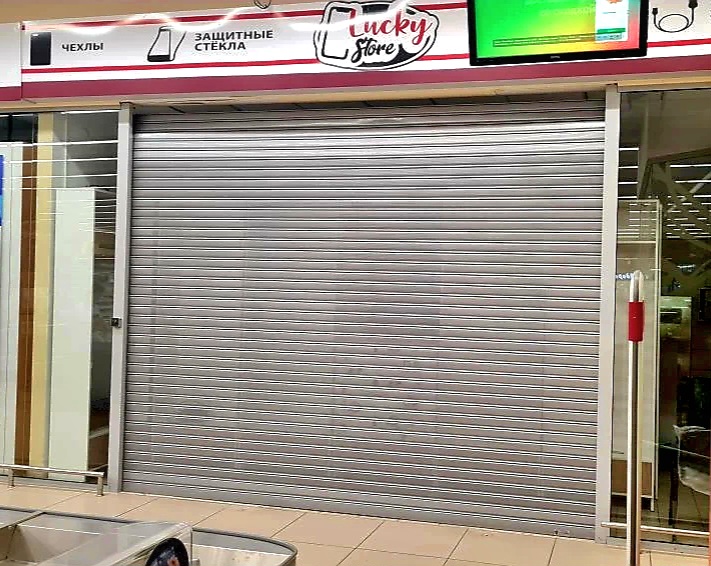 Роллетные ворота DoorHan в Петропавловске-Камчатском с установкой