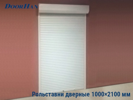 Рольставни на двери 1000×2100 мм в Петропавловске-Камчатском от 36394 руб.