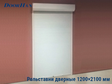 Рольставни на двери 1200×2100 мм в Петропавловске-Камчатском от 40089 руб.