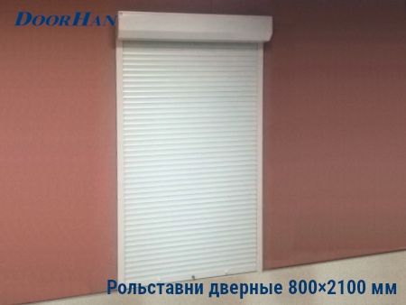 Рольставни на двери 800×2100 мм в Петропавловске-Камчатском от 32699 руб.